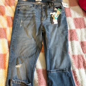 Studio Blue Boyfriend Jeans Classic Denim